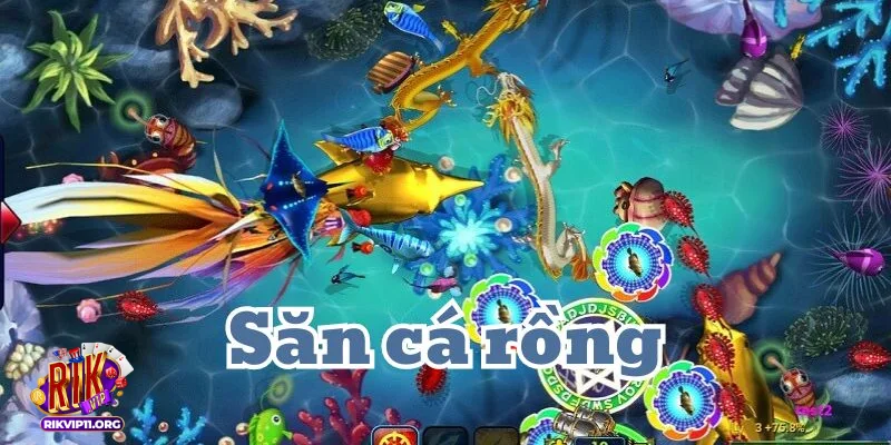 Bắn cá rồng online chi tiết và chiến thuật để bạn thắng lớn